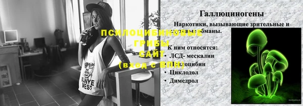 ПСИЛОЦИБИНОВЫЕ ГРИБЫ Вязьма