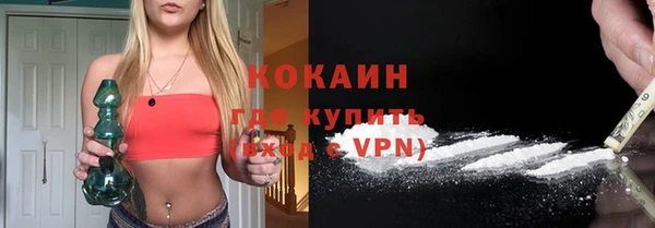 шишки Вяземский