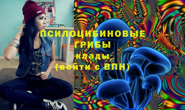 спиды Вязники