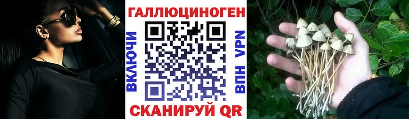Псилоцибиновые грибы Psilocybe  Назрань 